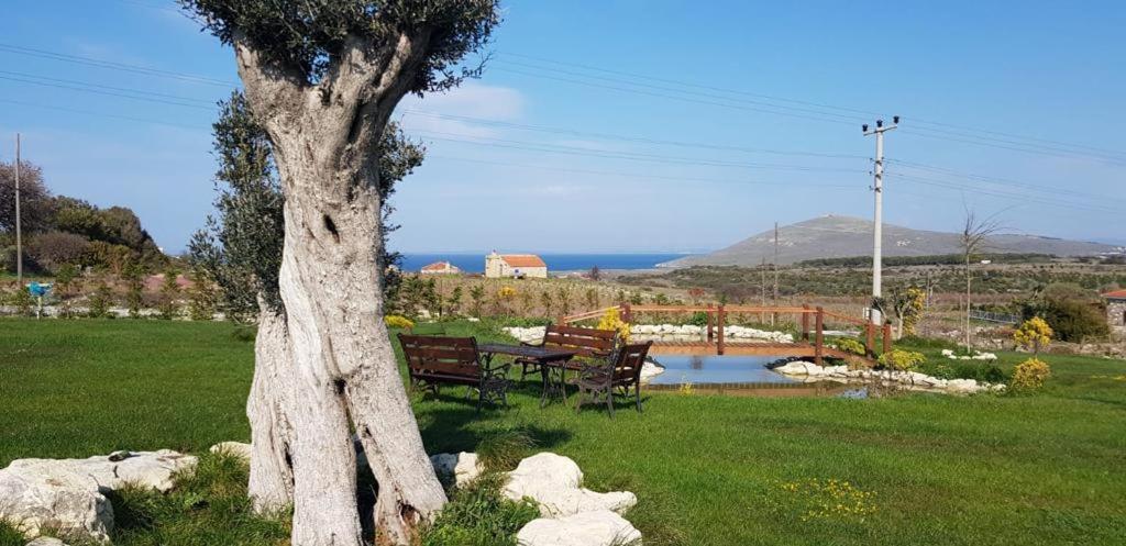 Adayel Bagevi & Butik Otel Bozcaada Exterior photo